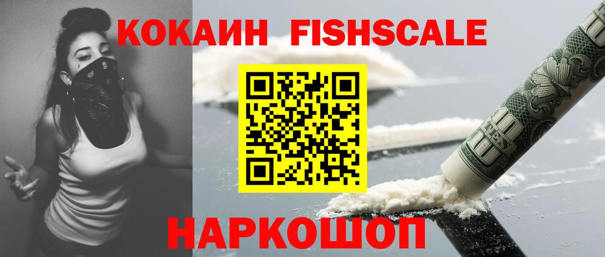 КОКАИН 99%  Вход с VPN  Камышлов  Cocaine Fish Scale 