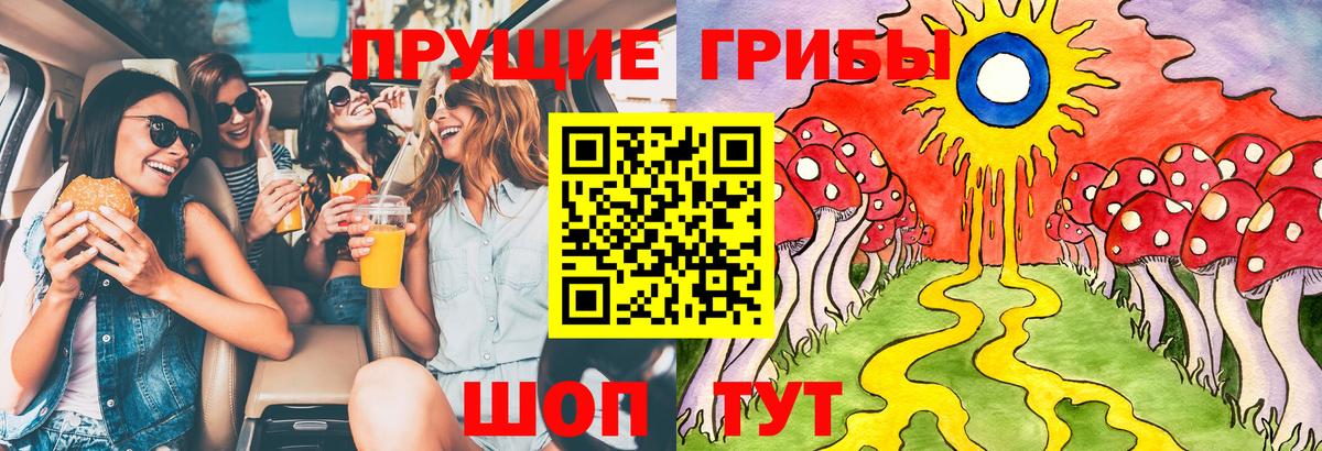 Псилоцибиновые грибы прущие грибы Камышлов