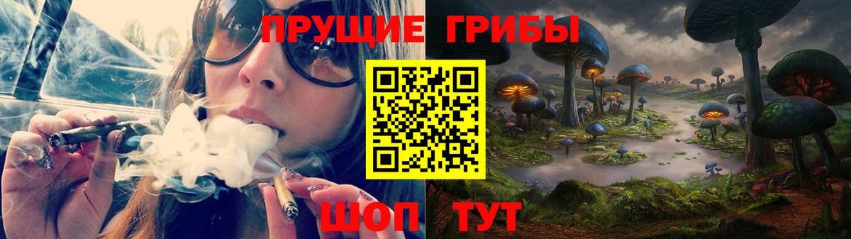 Псилоцибиновые грибы Cubensis  Вход с VPN  Псилоцибиновые грибы GOLDEN TEACHER  Камышлов 